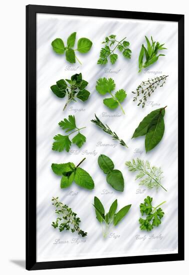 Various Herbs on Marble-Peter Howard Smith-Framed Photographic Print