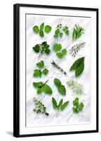 Various Herbs on Marble-Peter Howard Smith-Framed Photographic Print