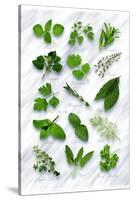 Various Herbs on Marble-Peter Howard Smith-Stretched Canvas