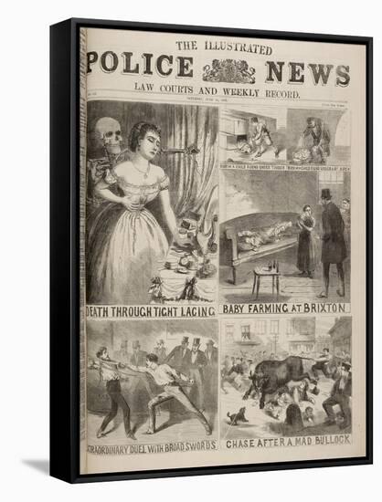 Various Incidents Featured in Illustrated Police News-null-Framed Stretched Canvas