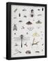 Essential Black