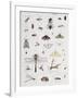 Gramercy White