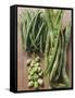 Various Kinds of Beans-Eising Studio - Food Photo and Video-Framed Stretched Canvas