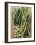 Various Kinds of Beans-Eising Studio - Food Photo and Video-Framed Photographic Print