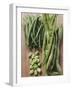 Various Kinds of Beans-Eising Studio - Food Photo and Video-Framed Photographic Print