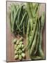 Various Kinds of Beans-Eising Studio - Food Photo and Video-Mounted Photographic Print