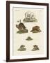 Various Kinds of Bears-null-Framed Giclee Print