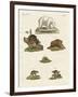 Various Kinds of Bears-null-Framed Giclee Print