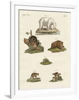 Various Kinds of Bears-null-Framed Giclee Print