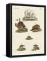 Various Kinds of Bears-null-Framed Stretched Canvas
