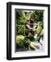 Various Lettuces-Teubner Foodfoto GmbH-Framed Premium Photographic Print