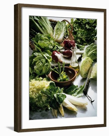 Various Lettuces-Teubner Foodfoto GmbH-Framed Photographic Print