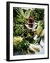 Various Lettuces-Teubner Foodfoto GmbH-Framed Photographic Print