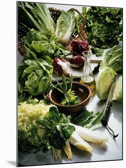 Various Lettuces-Teubner Foodfoto GmbH-Mounted Photographic Print