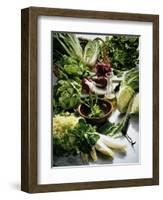 Various Lettuces-Teubner Foodfoto GmbH-Framed Photographic Print