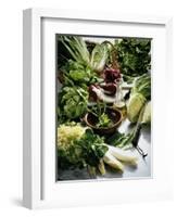 Various Lettuces-Teubner Foodfoto GmbH-Framed Photographic Print