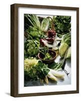 Various Lettuces-Teubner Foodfoto GmbH-Framed Photographic Print