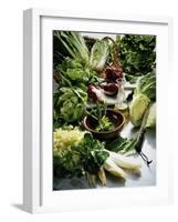 Various Lettuces-Teubner Foodfoto GmbH-Framed Photographic Print