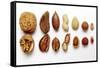 Various Nuts, Shelled and Unshelled-Eising Studio - Food Photo and Video-Framed Stretched Canvas