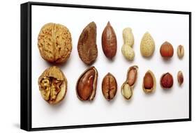 Various Nuts, Shelled and Unshelled-Eising Studio - Food Photo and Video-Framed Stretched Canvas