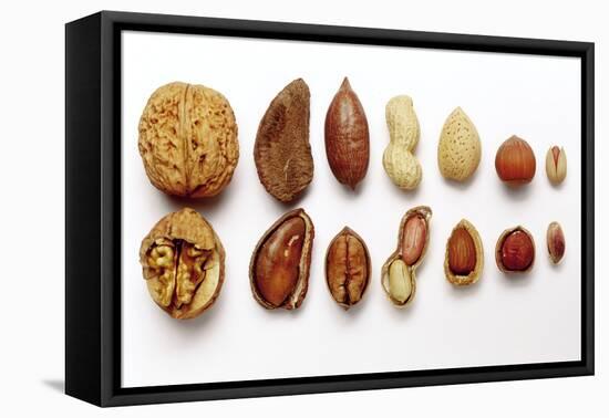 Various Nuts, Shelled and Unshelled-Eising Studio - Food Photo and Video-Framed Stretched Canvas