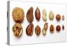 Various Nuts, Shelled and Unshelled-Eising Studio - Food Photo and Video-Stretched Canvas