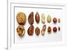 Various Nuts, Shelled and Unshelled-Eising Studio - Food Photo and Video-Framed Photographic Print