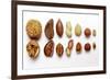 Various Nuts, Shelled and Unshelled-Eising Studio - Food Photo and Video-Framed Photographic Print