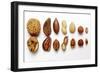 Various Nuts, Shelled and Unshelled-Eising Studio - Food Photo and Video-Framed Photographic Print