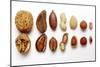 Various Nuts, Shelled and Unshelled-Eising Studio - Food Photo and Video-Mounted Photographic Print