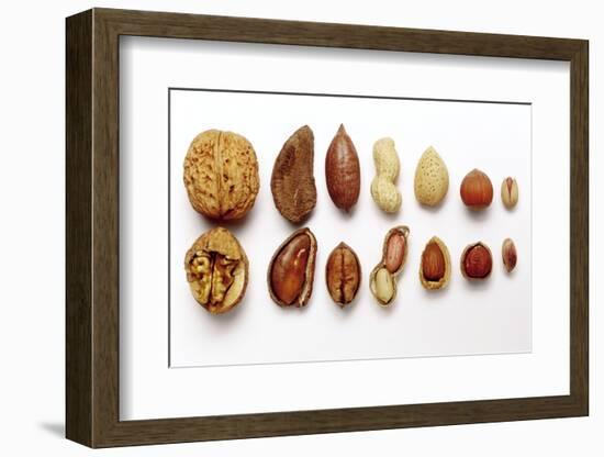 Various Nuts, Shelled and Unshelled-Eising Studio - Food Photo and Video-Framed Photographic Print