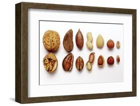 Various Nuts, Shelled and Unshelled-Eising Studio - Food Photo and Video-Framed Photographic Print