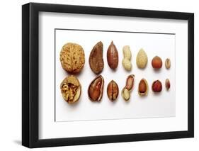 Various Nuts, Shelled and Unshelled-Eising Studio - Food Photo and Video-Framed Photographic Print