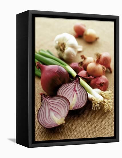 Various Onion Family Vegetables-Peter Howard Smith-Framed Stretched Canvas