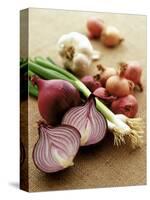 Various Onion Family Vegetables-Peter Howard Smith-Stretched Canvas