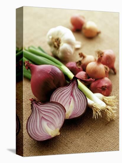 Various Onion Family Vegetables-Peter Howard Smith-Stretched Canvas