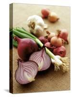 Various Onion Family Vegetables-Peter Howard Smith-Stretched Canvas
