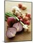 Various Onion Family Vegetables-Peter Howard Smith-Mounted Premium Photographic Print