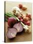 Various Onion Family Vegetables-Peter Howard Smith-Stretched Canvas