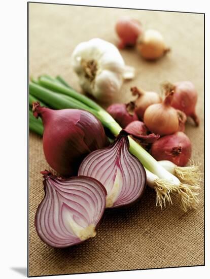 Various Onion Family Vegetables-Peter Howard Smith-Mounted Photographic Print