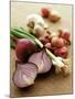 Various Onion Family Vegetables-Peter Howard Smith-Mounted Photographic Print