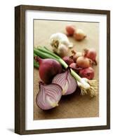 Various Onion Family Vegetables-Peter Howard Smith-Framed Photographic Print