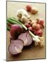 Various Onion Family Vegetables-Peter Howard Smith-Mounted Photographic Print