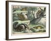 Various Quadrupeds: Giant Anteater, Brown Platypus, Pangolin, Armadillo, and Three-Toed Sloth-null-Framed Art Print