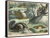 Various Quadrupeds: Giant Anteater, Brown Platypus, Pangolin, Armadillo, and Three-Toed Sloth-null-Framed Stretched Canvas