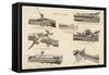 Various Rifles Showing Details of Loading Mechanisms-null-Framed Stretched Canvas