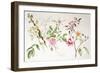 Various Roses, 1999-Alison Cooper-Framed Giclee Print