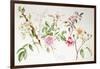 Various Roses, 1999-Alison Cooper-Framed Giclee Print