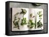 Various Salad Herbs on an Open Book-Walter Cimbal-Framed Stretched Canvas