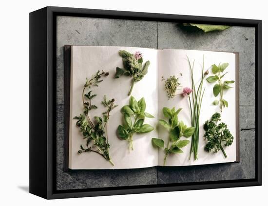 Various Salad Herbs on an Open Book-Walter Cimbal-Framed Stretched Canvas